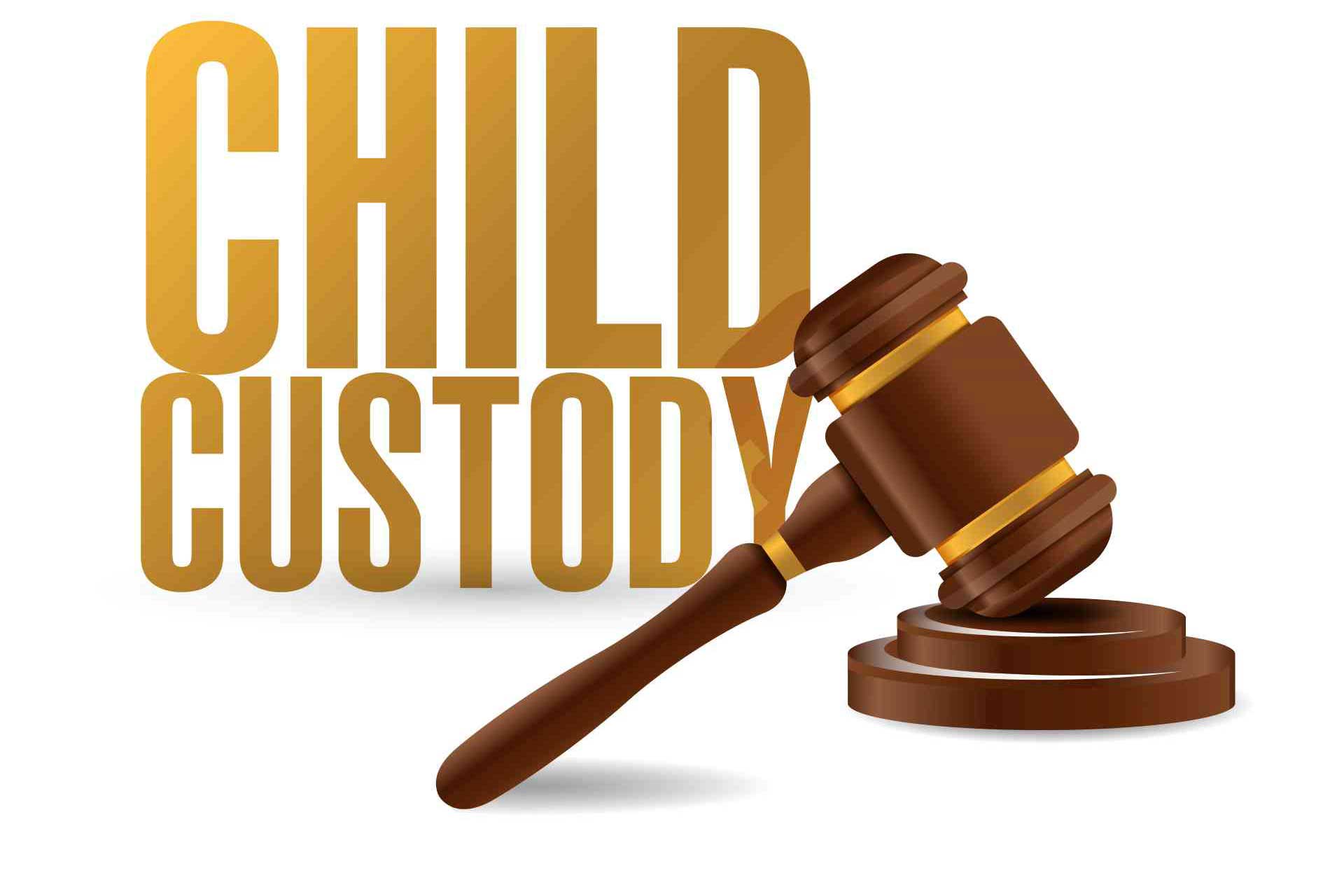 Child Custody log in Family Court